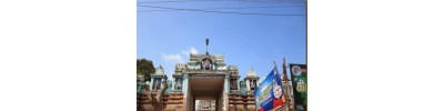 நாகை நீலதயாட்சி - தமிழ்நாடு